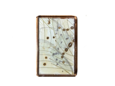 SILVER MORPHO FRIDGE MAGNET